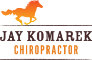 Jay Komarek